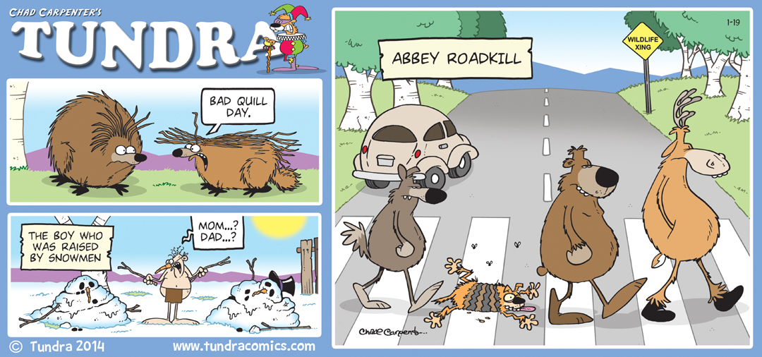 JANUARY SUNDAY STRIPS 2014